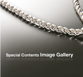 Special Contents Image Gallery