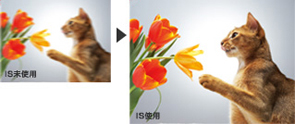 °ªµe½èのまま¤âブレを§íえる¡B¥ú¾Ç¤âブレ¸É¥¿¾÷¯à