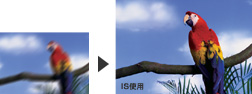 ブレが増�Tされるズーム���vにも�̾A�C