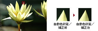 レンズ関�sの�ɥ�����