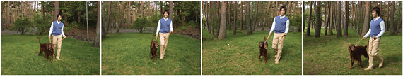VGA Movie Format. For High-Quality, Blur-Free Movie Clips