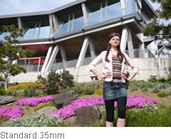 Standard 35mm