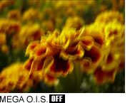 MEGA O.I.S. OFF