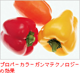 プロパーカラーガンマテクノロジーの効�G