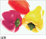 従来