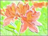 Water Color