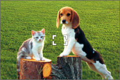 With standard AF,
the camera focuses
automatically on the
center so the
subjects on either
side are out of
focus.
