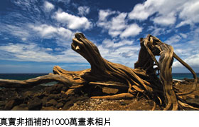Real 10 Megapixel digital still