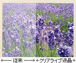 クリアライブ�G��