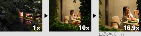 1x��10x��16.9x�]EX��学ズーム�^