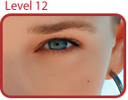Level 12