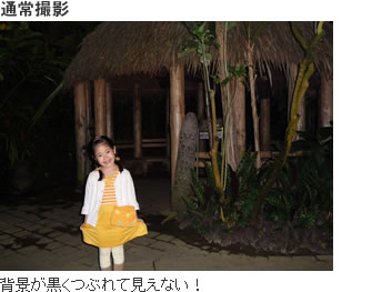 �q�`���v�G�I��が黒くつぶれて��えない�I