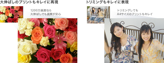�j��ばしのプリントもきれいに�A�{�Bトリミングもきれいに���{