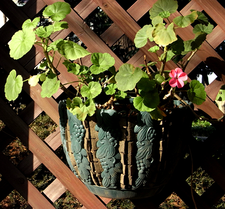 f=50mm 1/250 �� F4.2 ISO100