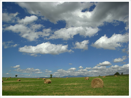 28mm WIDE F5.0 1/1230sec ISO100(28mm)
