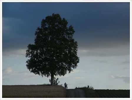 200mm TELE F5.2 1/250sec ISO100(200mm)